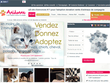Tablet Screenshot of anidonne.com